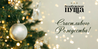 С Рождеством!