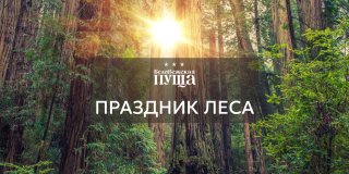 Приглашаем на праздник — День работников леса в Беловежской пуще!