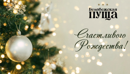 С Рождеством!