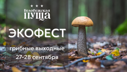 Экофест «Грибные выходные» в Беловежской пуще — 27–28 сентября