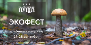 Экофест «Грибные выходные» в Беловежской пуще — 27–28 сентября