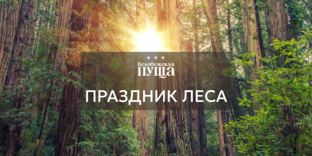 Приглашаем на праздник — День работников леса в Беловежской пуще!