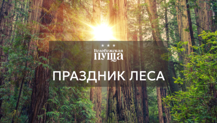 Приглашаем на праздник — День работников леса в Беловежской пуще!