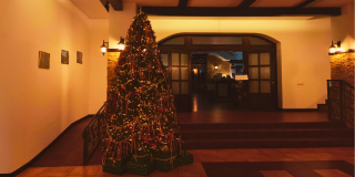 Новый год в сердце Беловежской пущи — там, где праздник становится настоящей сказкой