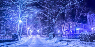 Новогоднее предложение “Новый год – 2026” в парк-отеле «Беловежская пуща»!