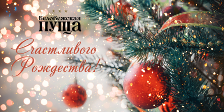 Счастливого Рождества!