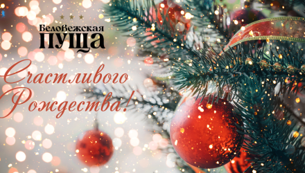 Счастливого Рождества!